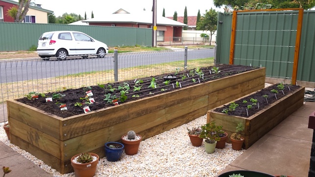 Frontyard vegetable raised bed gardens installed in Allenby Adelaide